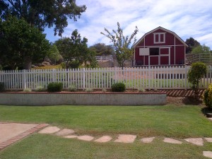 backyard to barn (2)