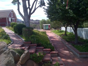 steps to chickencoop