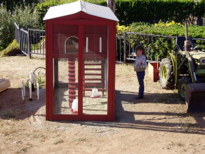 OLYMPUS DIGITAL CAMERA