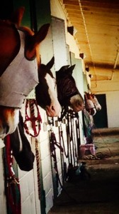 10168219_10152394859269083_9003060332317376686_n