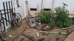 antique garden good view