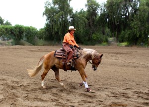 IMG_6769 Send 2 Lori c (2)