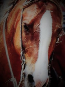 Resized_20190113_153116