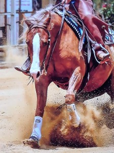 Resized_20190113_153224