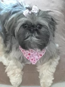 Resized_20190202_145215