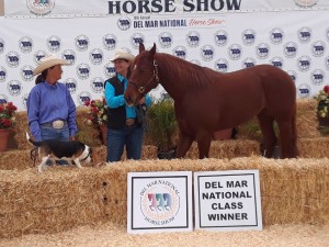 Resized_20190419_151943001