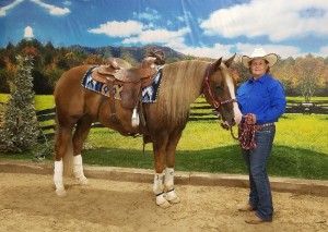 high roller good pic